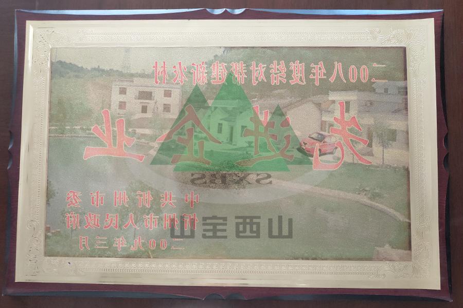 2008年度 结对帮建新农村先进企业